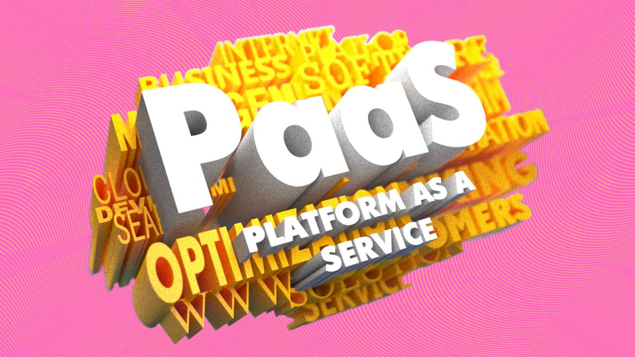 what is PaaS