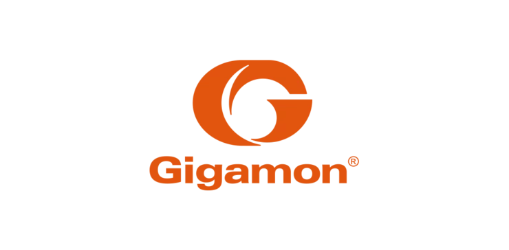 Gigamon 