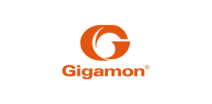 Gigamon 