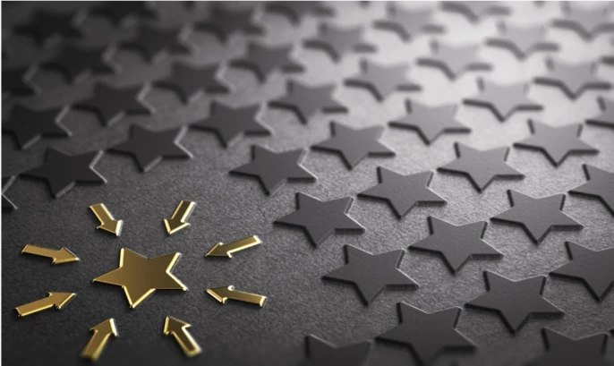 Principle Networks: Case Studies