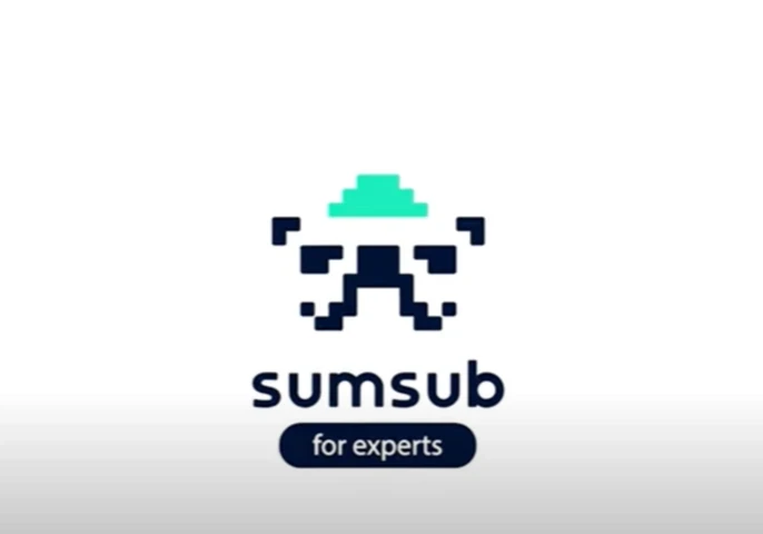 sumsub ai regulation video