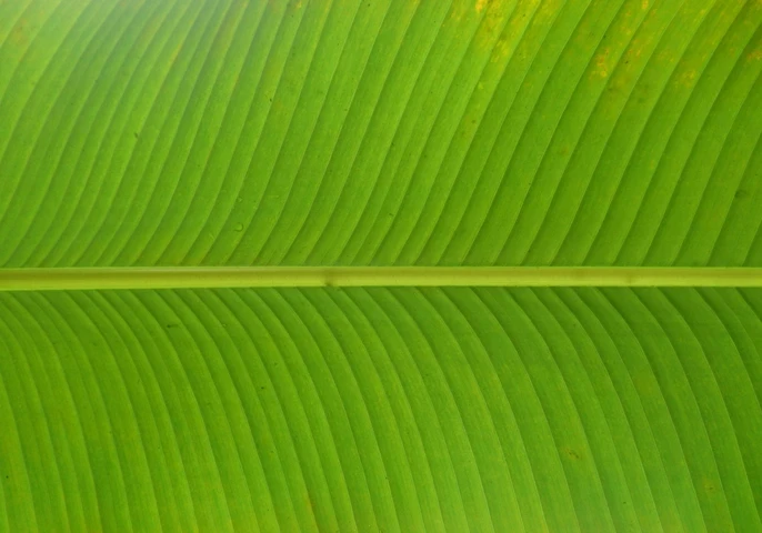 The importance of green IT