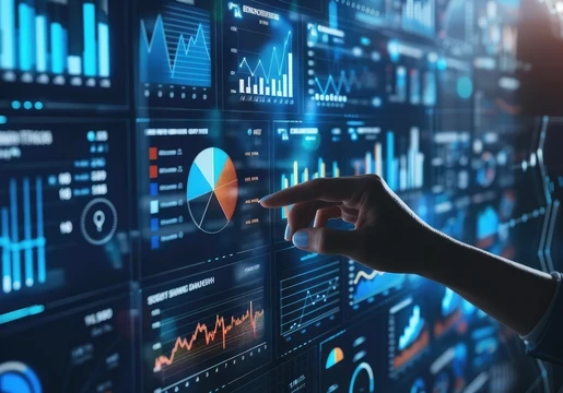 Empathy and Judgment in Data Quality: The Role of the Data Analyst