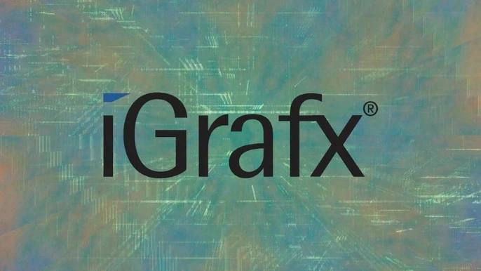 Turning Business Processes into Business Assets