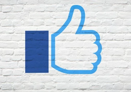 Thumbs up emoji in Facebook branding against a white brick wall