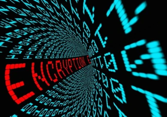 Binary code written in blue with the word 'encryption' in red