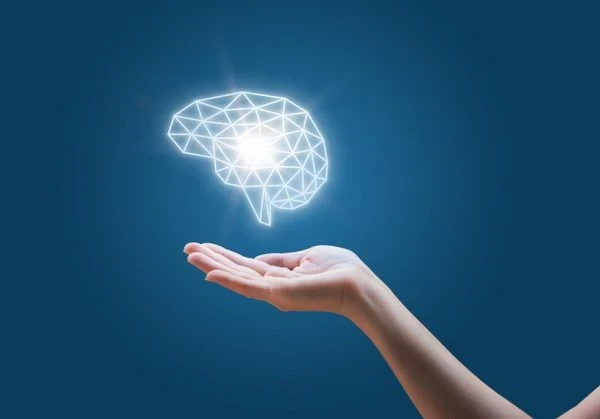 Someone holding a line drawing of a human brain in white