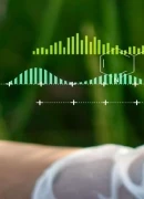 Streamlining Data and the Future of Collaborative  Science