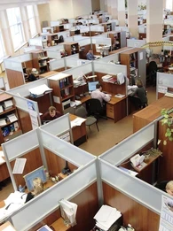 Employees working