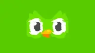 duolingo data breach