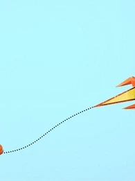 most successful startups