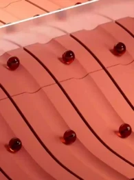 infinipoint zero trust