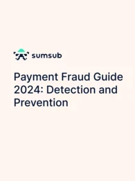 sumsub payment fraud guide
