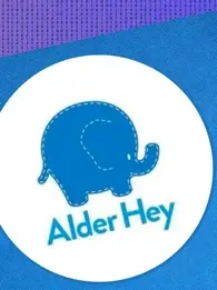 alder hey cyber attack