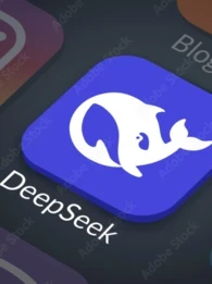 DeepSeek