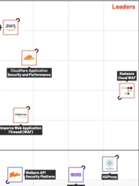 radware waf leader