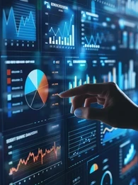 Empathy and Judgment in Data Quality: The Role of the Data Analyst