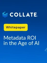 metadata roi