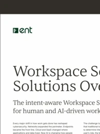 ent solutions brief