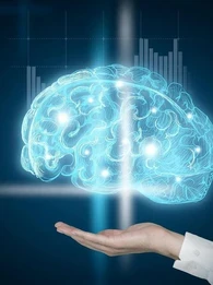 companies using deep learning