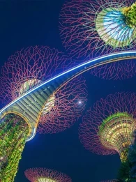 Singapore’s AI governance framework supporting ethical artificial intelligence adoption across businesses and public services.