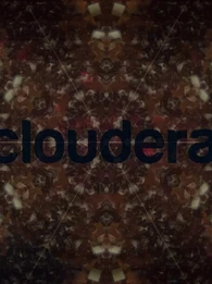 Cloudera’s enterprise data hub, powered by Apache Hadoop, modernizes Cyber Security architecture, detect advanced threats faster, and accelerate threat mitigation. In this whitepaper: