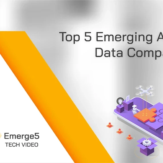 top 5 emerging ai and datacomoanies
