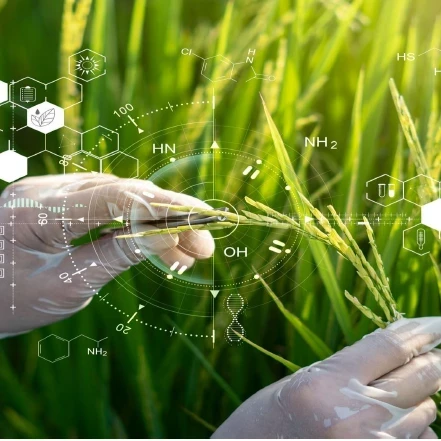 Streamlining Data and the Future of Collaborative  Science