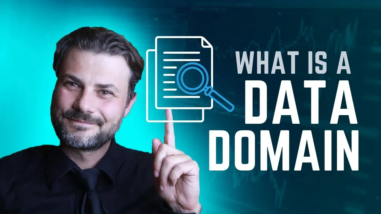 What is a Data Domain? LightsOnData