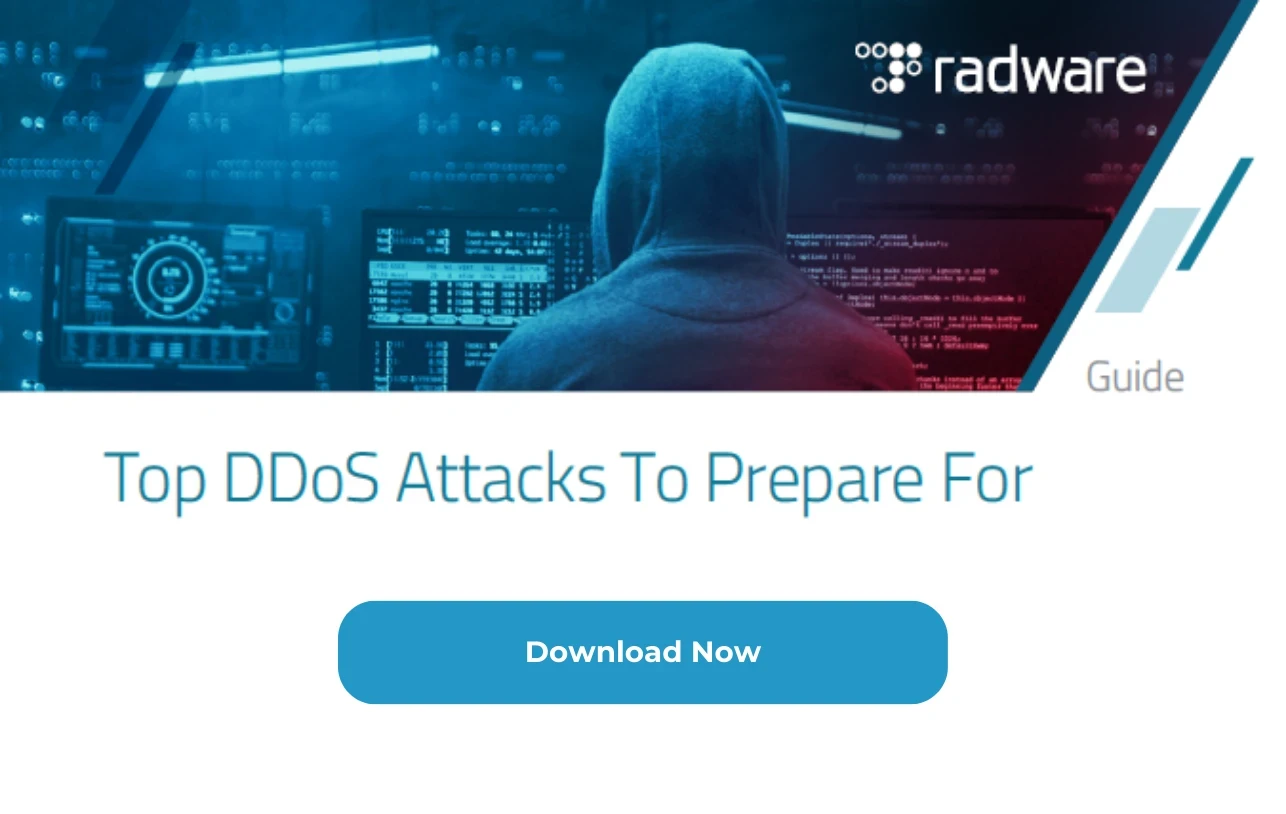 ddos attacks