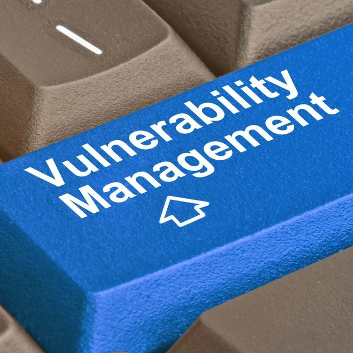 Close up of keyboard keys with a bright blue key in the middle showing the words "Vulnerability Management"