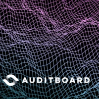 auditboard digital risk report