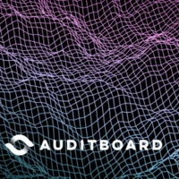 auditboard digital risk report