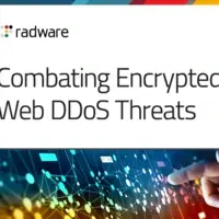 radware web ddos 