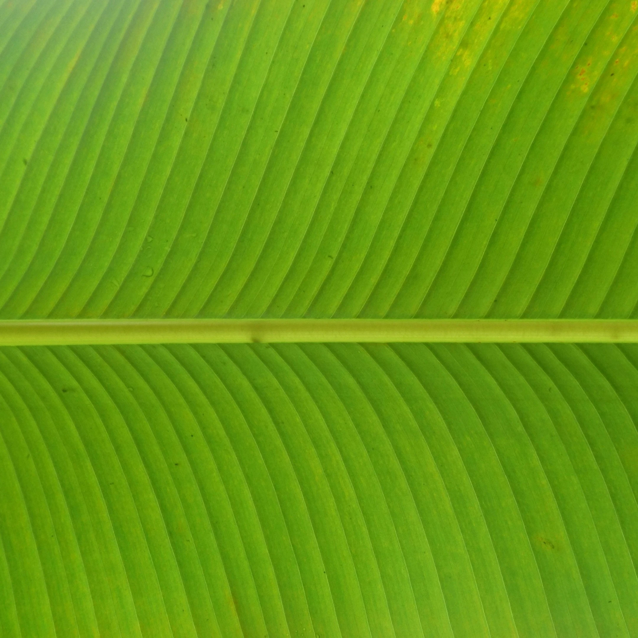 The importance of green IT