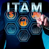 ITAM on a board with a businessman standing in front