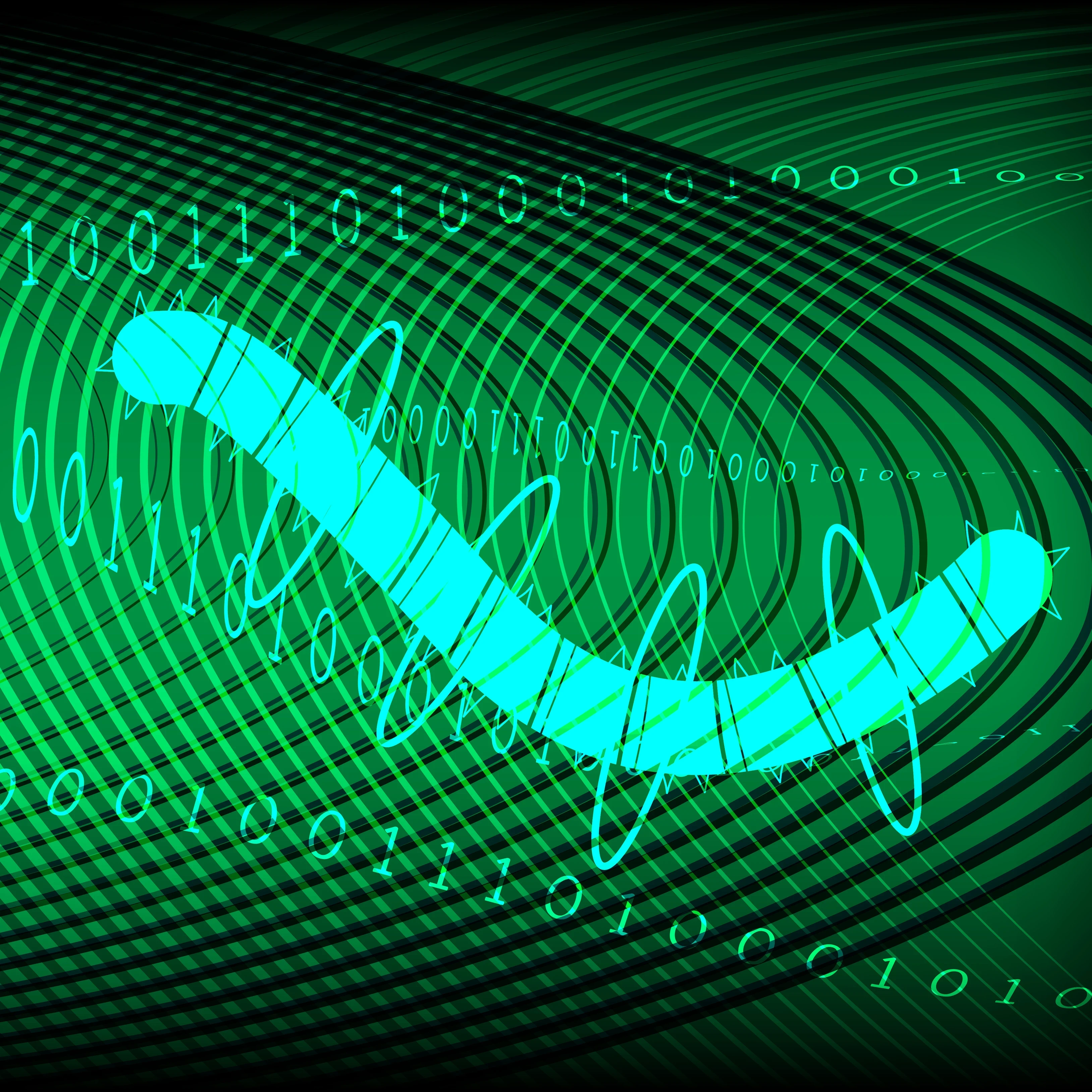 what is a computer worm