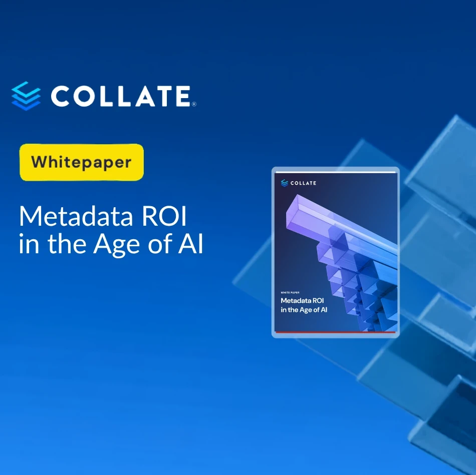 metadata roi