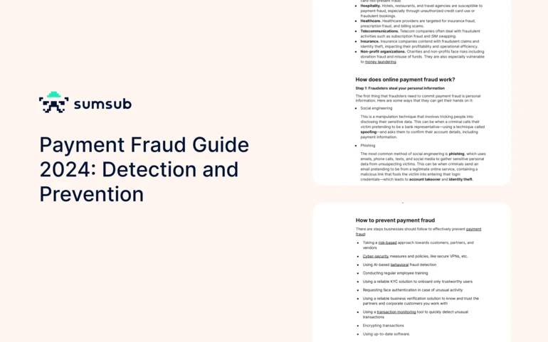 sumsub payment fraud guide