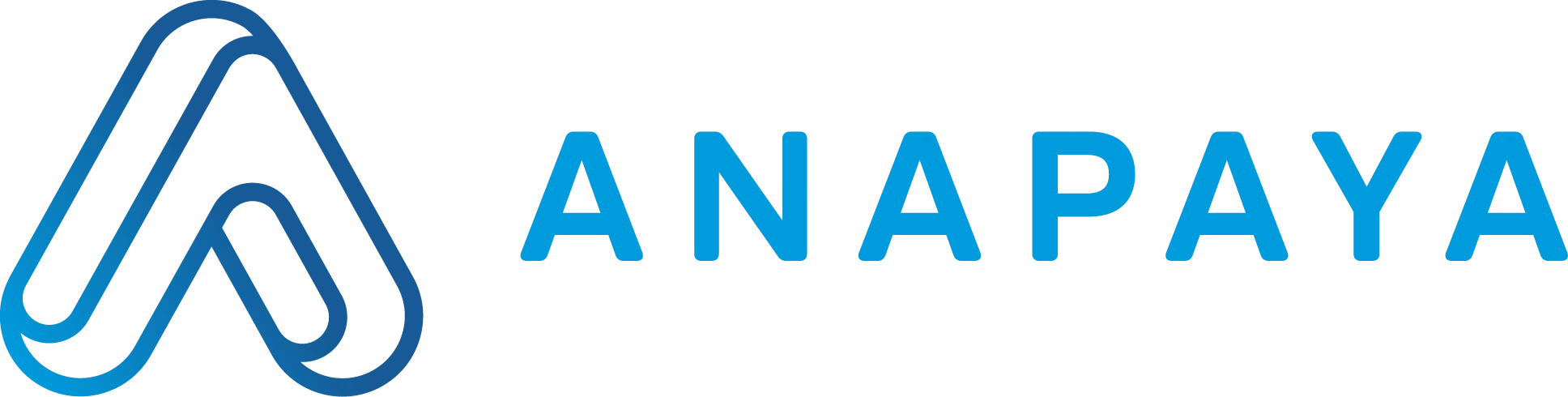 anapaya logo