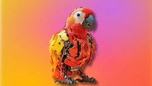 stochastic parrots