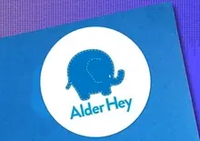 alder hey cyber attack