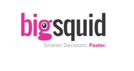 Big Squid Company Profile 