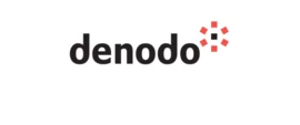 Denodo Company Profile 